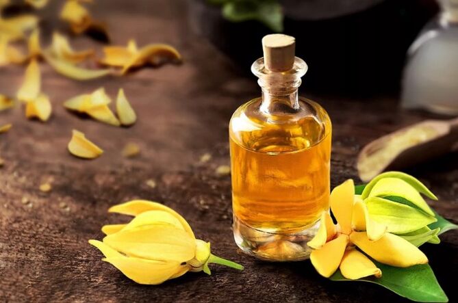 Ilang-Ylang come parte di Zxcvbnmqwert